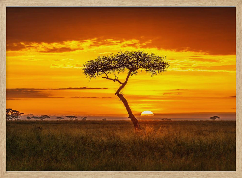 Ursprüngliches Afrika | Poster