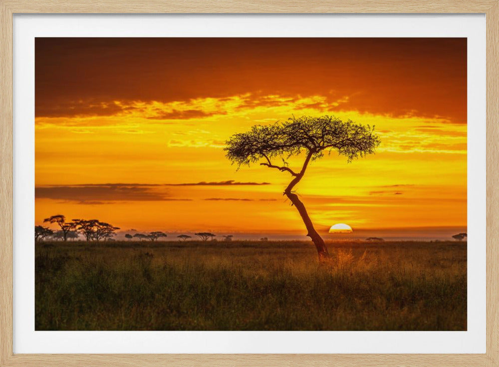 Ursprüngliches Afrika | Poster
