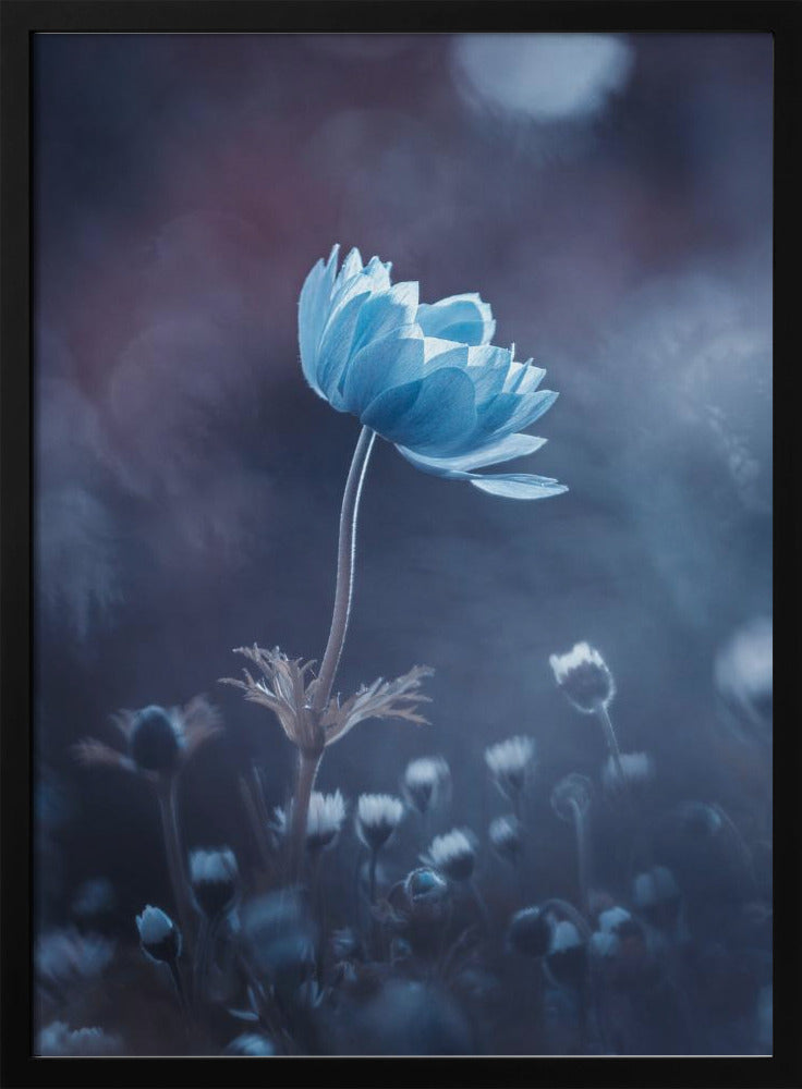 Eine kurze Blumengeschichte | Poster