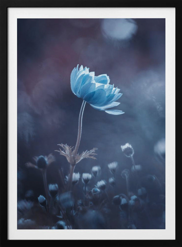 Eine kurze Blumengeschichte | Poster