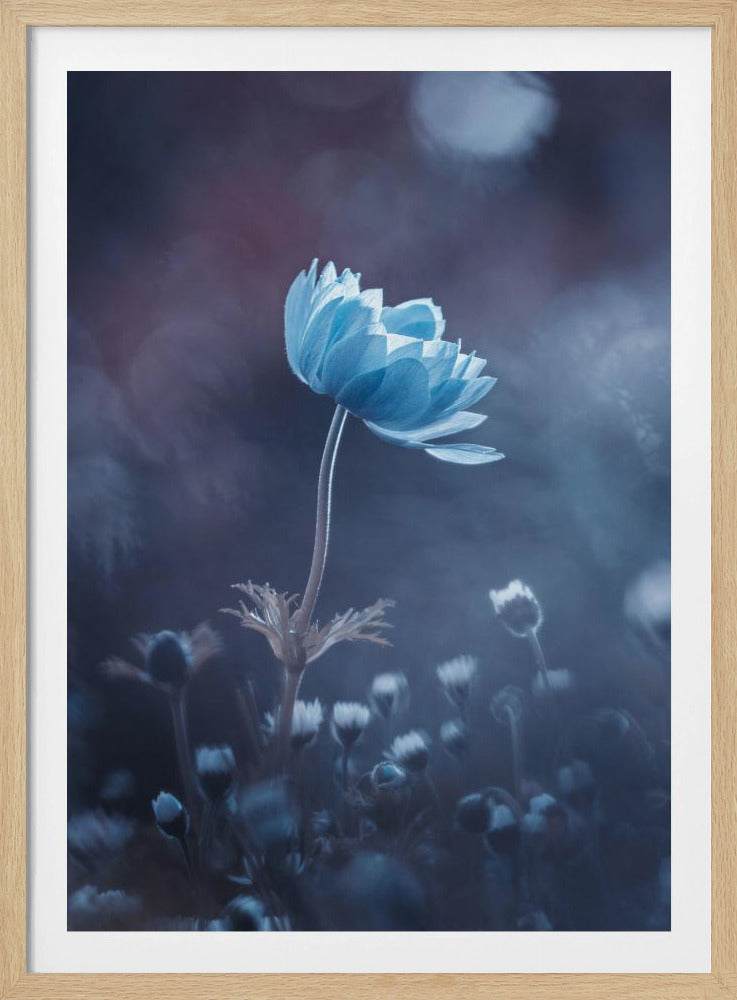 Eine kurze Blumengeschichte | Poster