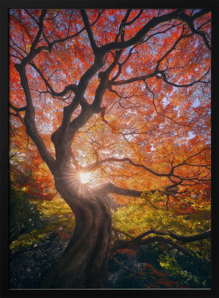 Der japanische Baum | Poster