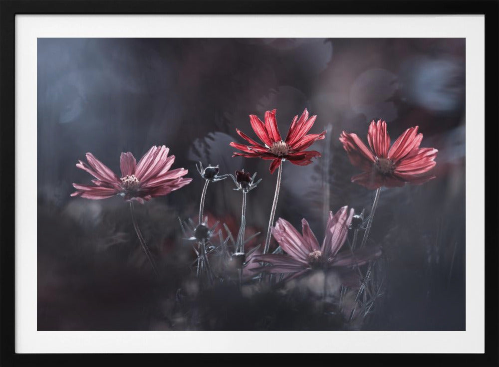 Die Blumen des Guten | Poster