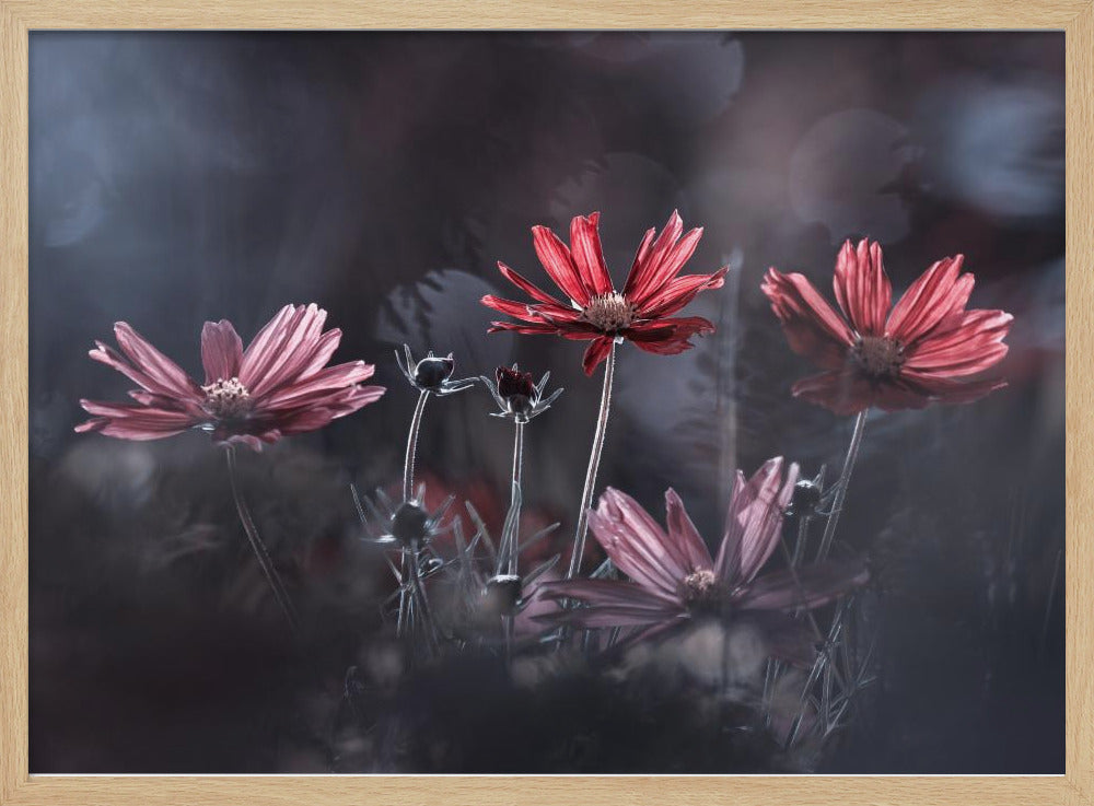 Die Blumen des Guten | Poster