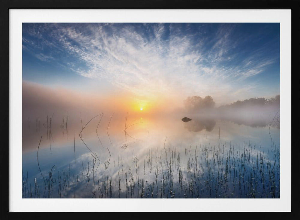 Reflexion | Poster