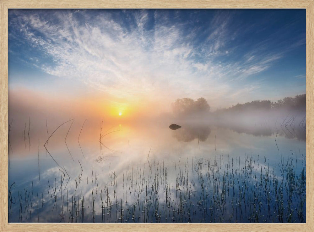 Reflexion | Poster