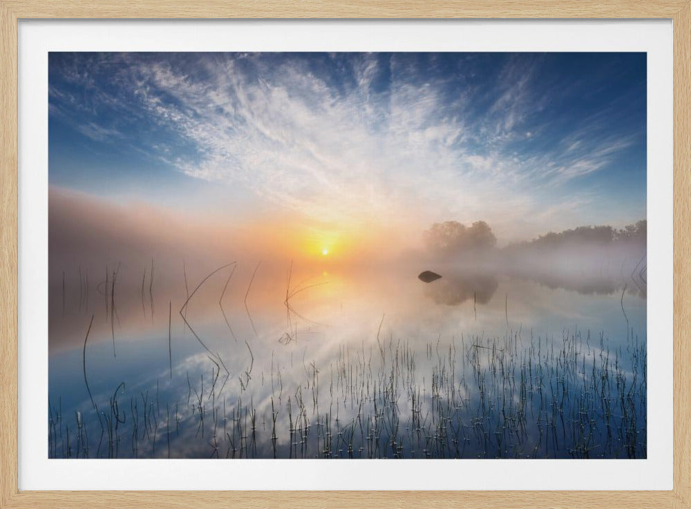Reflexion | Poster