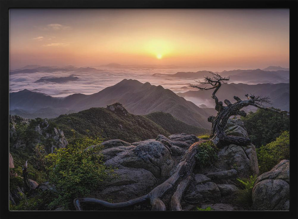 Sonnenaufgang oben | Poster
