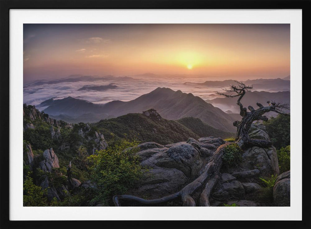 Sonnenaufgang oben | Poster