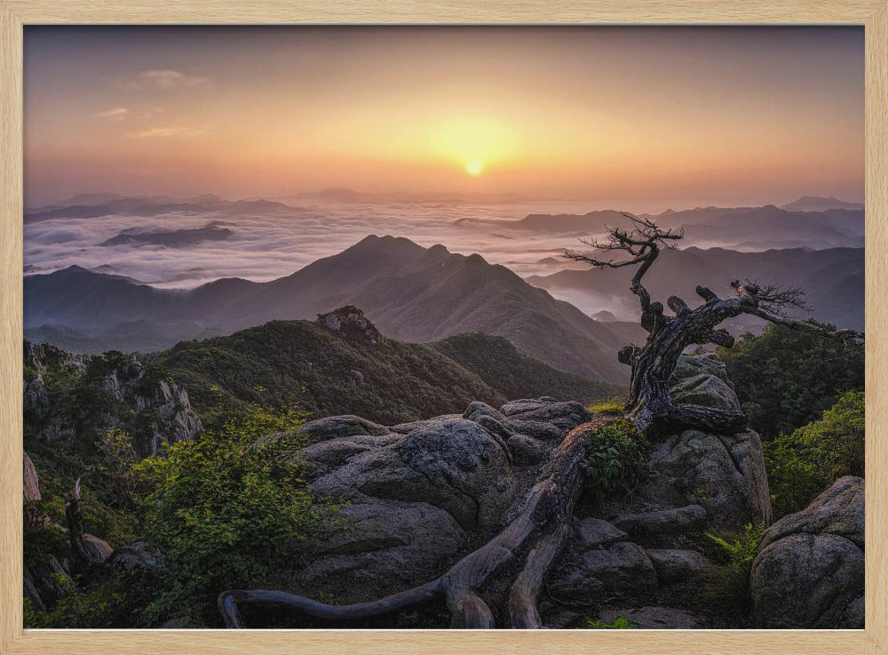 Sonnenaufgang oben | Poster