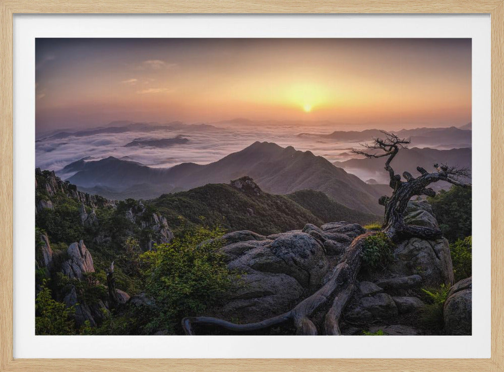 Sonnenaufgang oben | Poster
