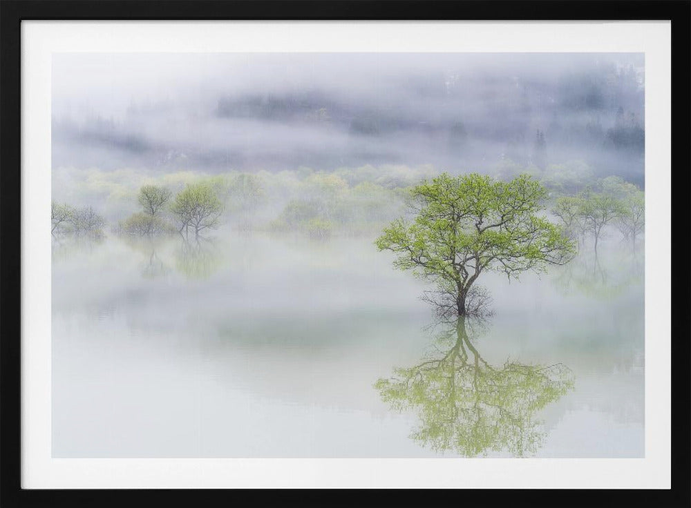 Verträumter Baum | Poster