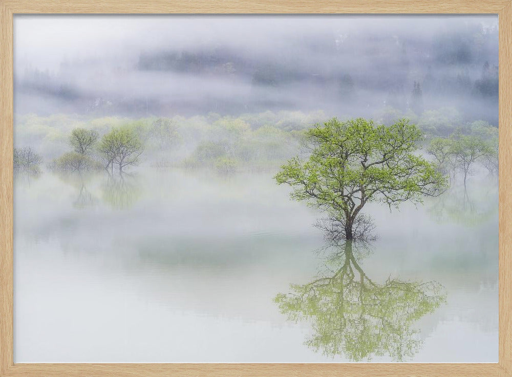 Verträumter Baum | Poster