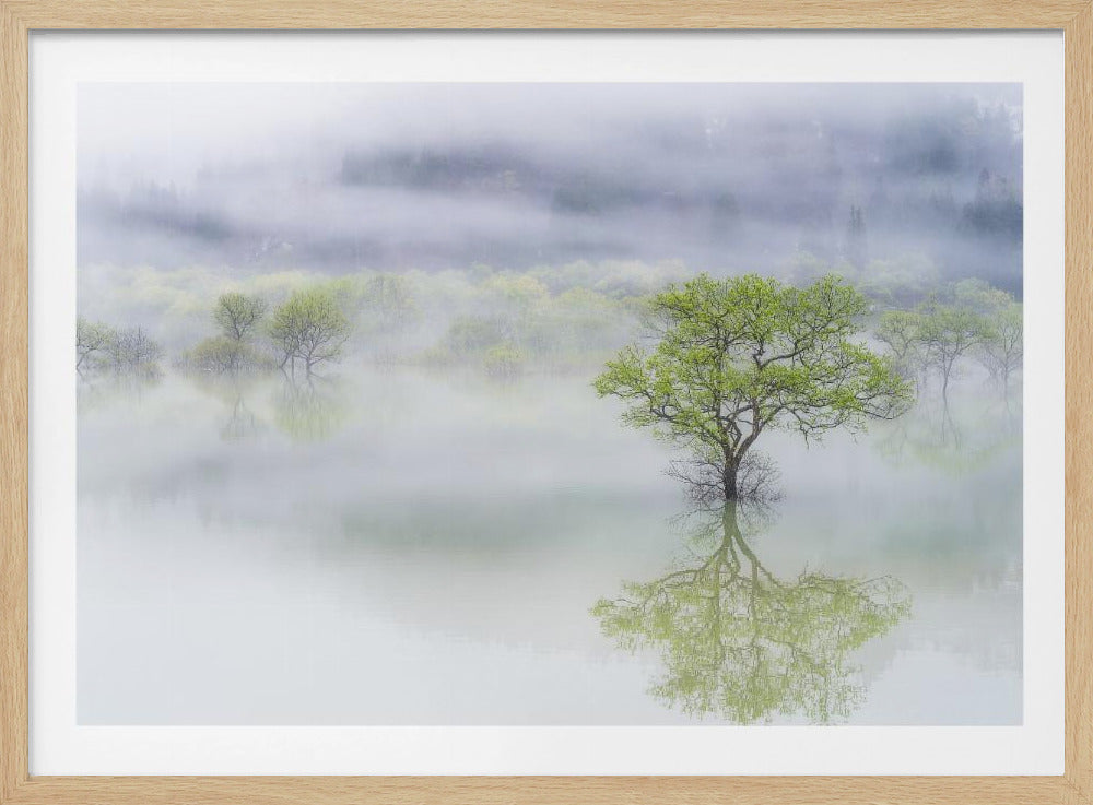 Verträumter Baum | Poster