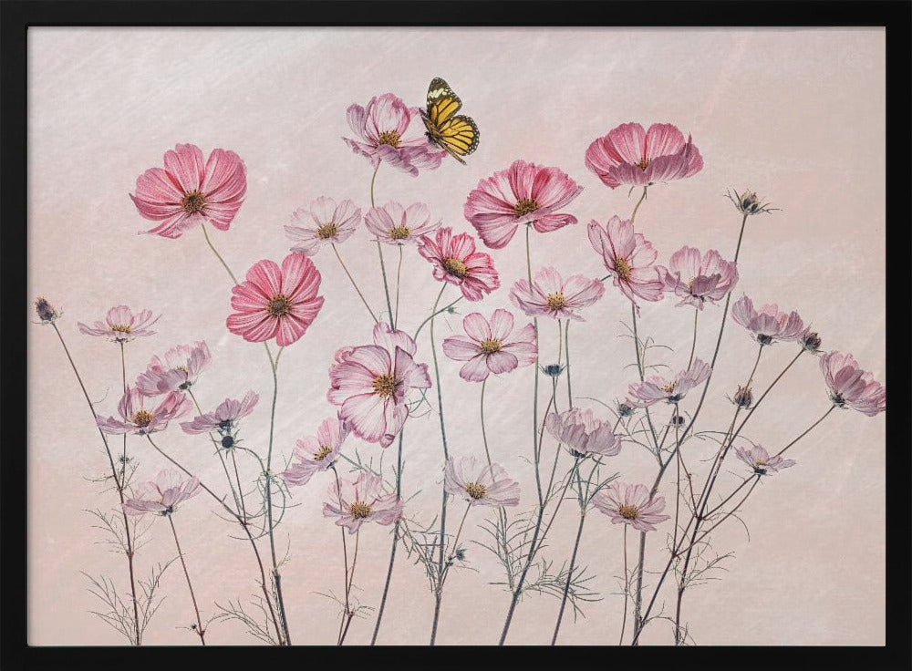 Kosmos und Schmetterling | Poster