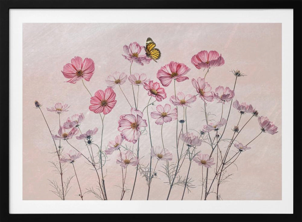Kosmos und Schmetterling | Poster