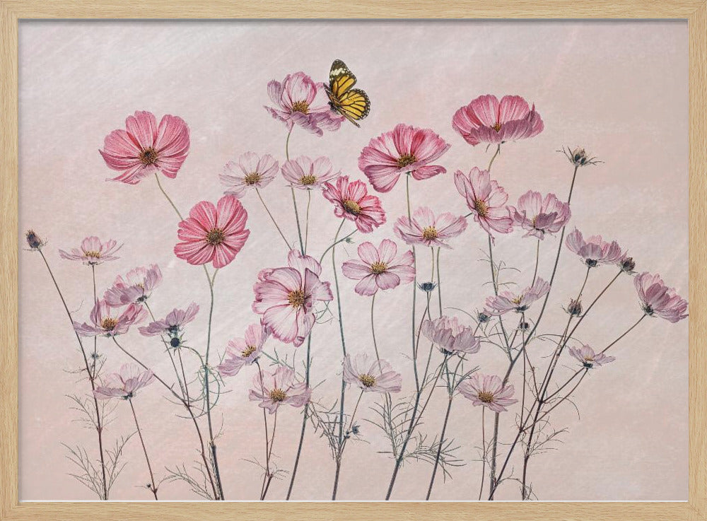 Kosmos und Schmetterling | Poster