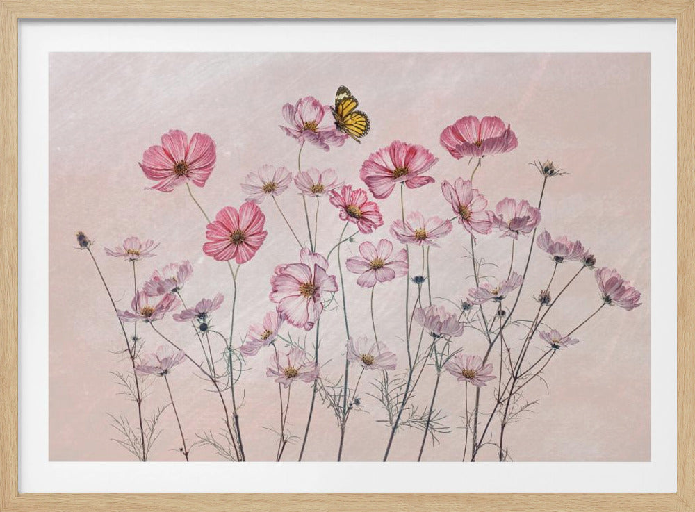 Kosmos und Schmetterling | Poster