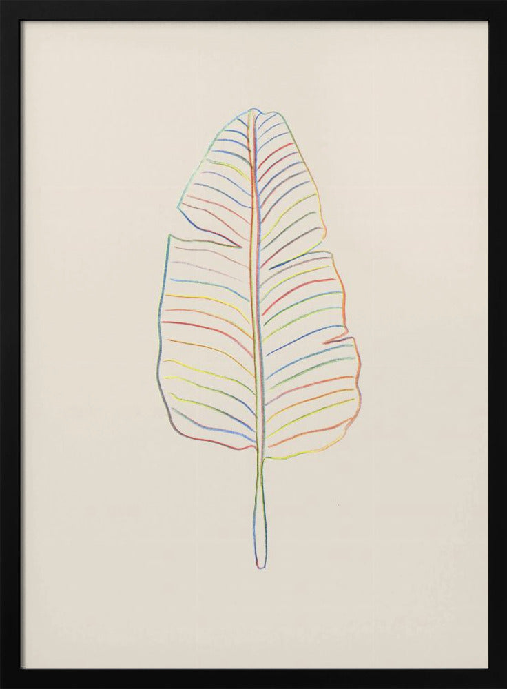 Bananen-Regenbogenblatt | Poster