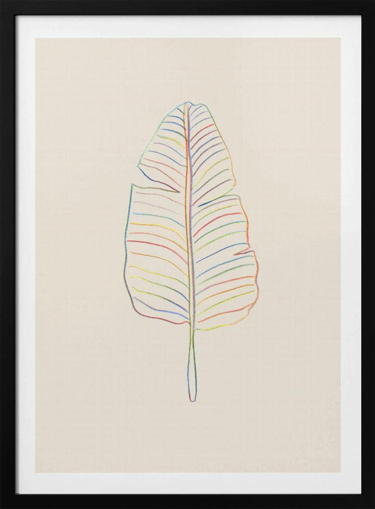 Bananen-Regenbogenblatt | Poster