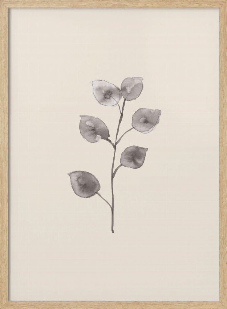 Eucalyptus Twig | Poster