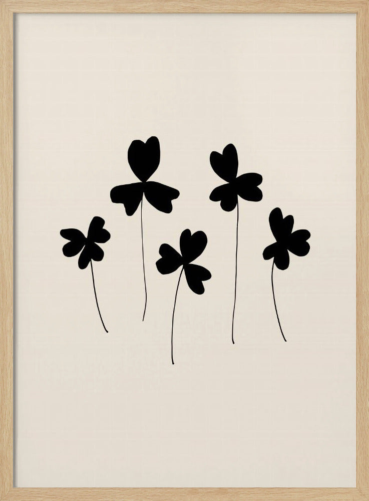 Schwarzer Sauerampfer | Poster