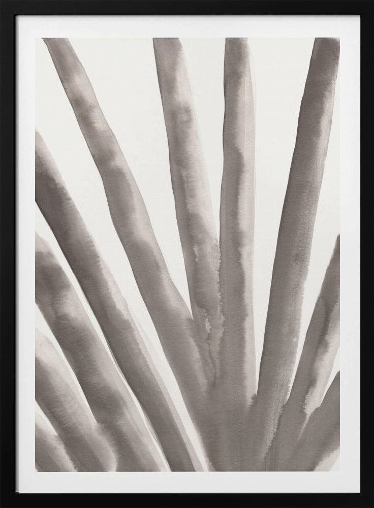 Aloe Vera | Poster