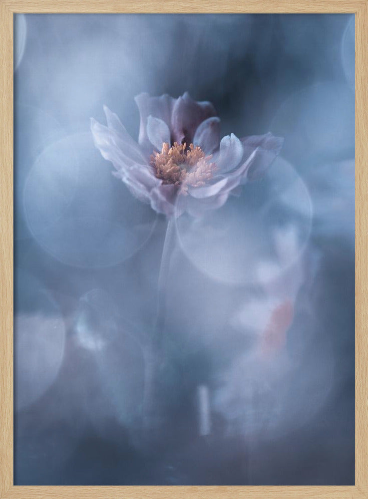Tiefes Eintauchen | Poster