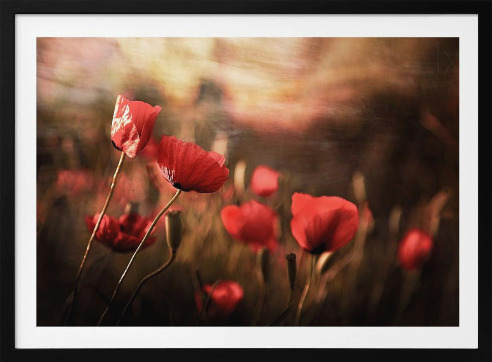 Morgenluft | Poster