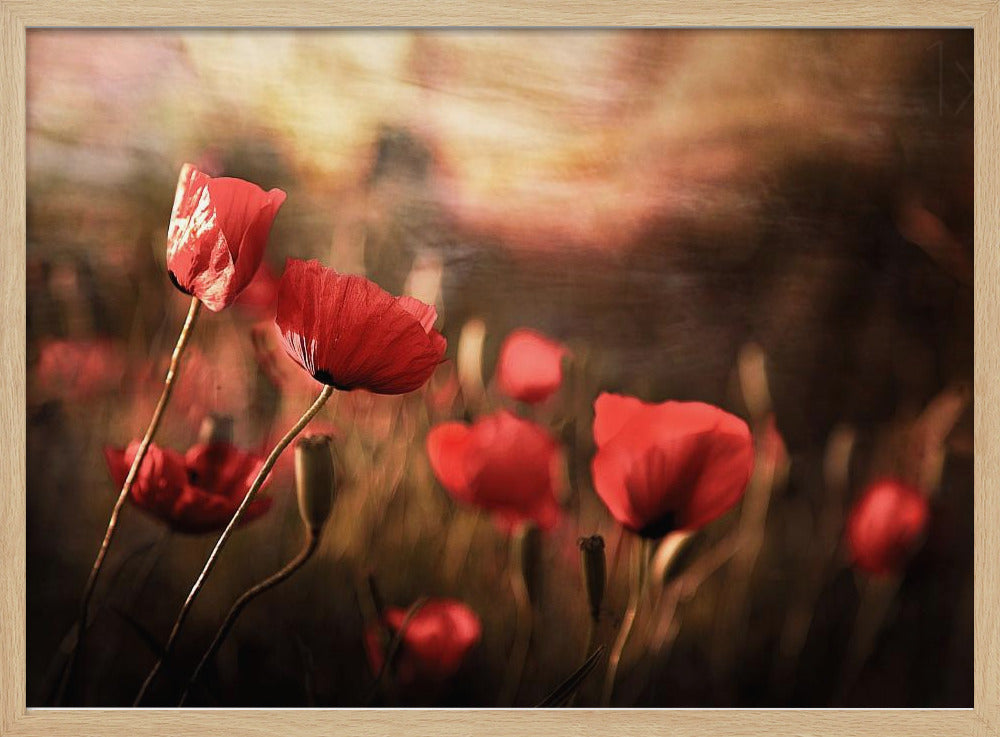 Morgenluft | Poster