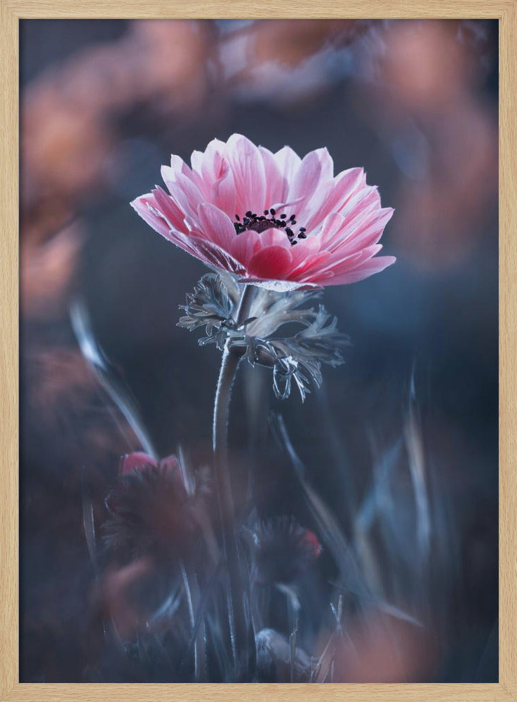 In Schönheit stehen | Poster
