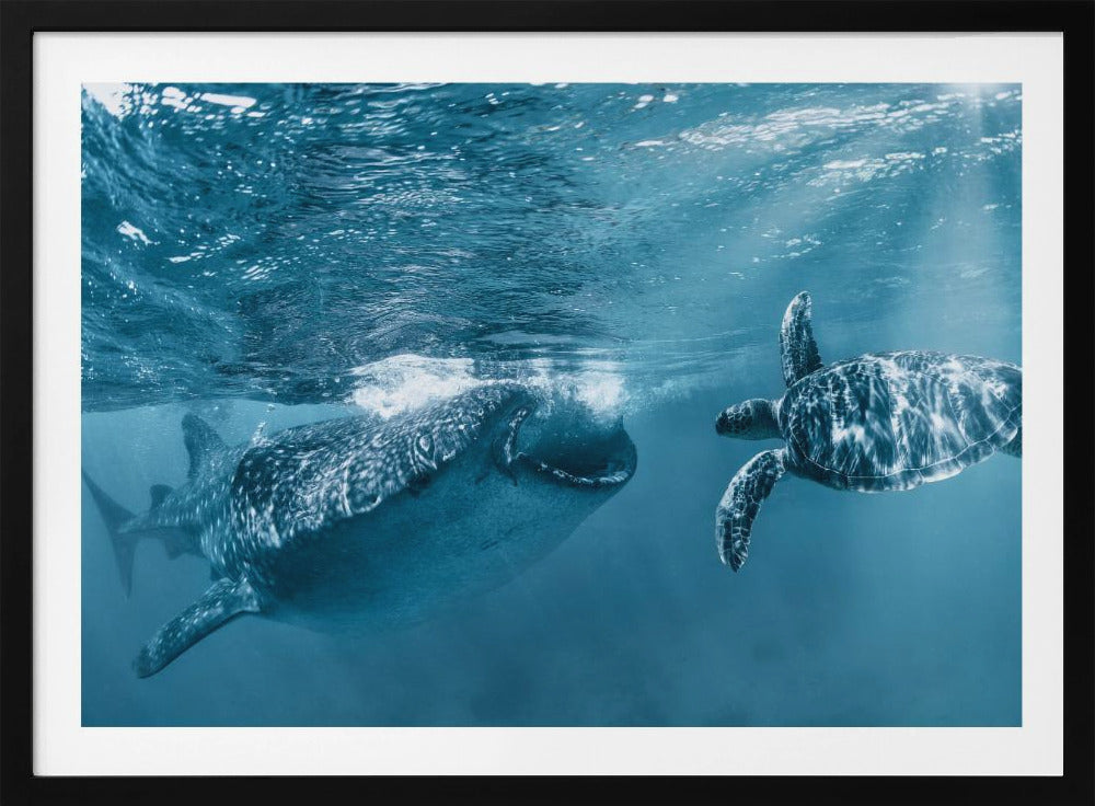 Einmal am Meer | Poster