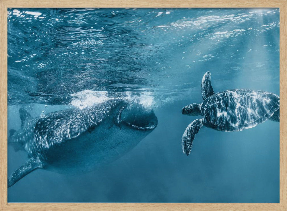 Einmal am Meer | Poster