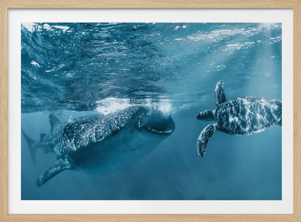 Einmal am Meer | Poster