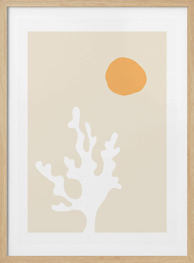 Seetang in der Sonne | Poster