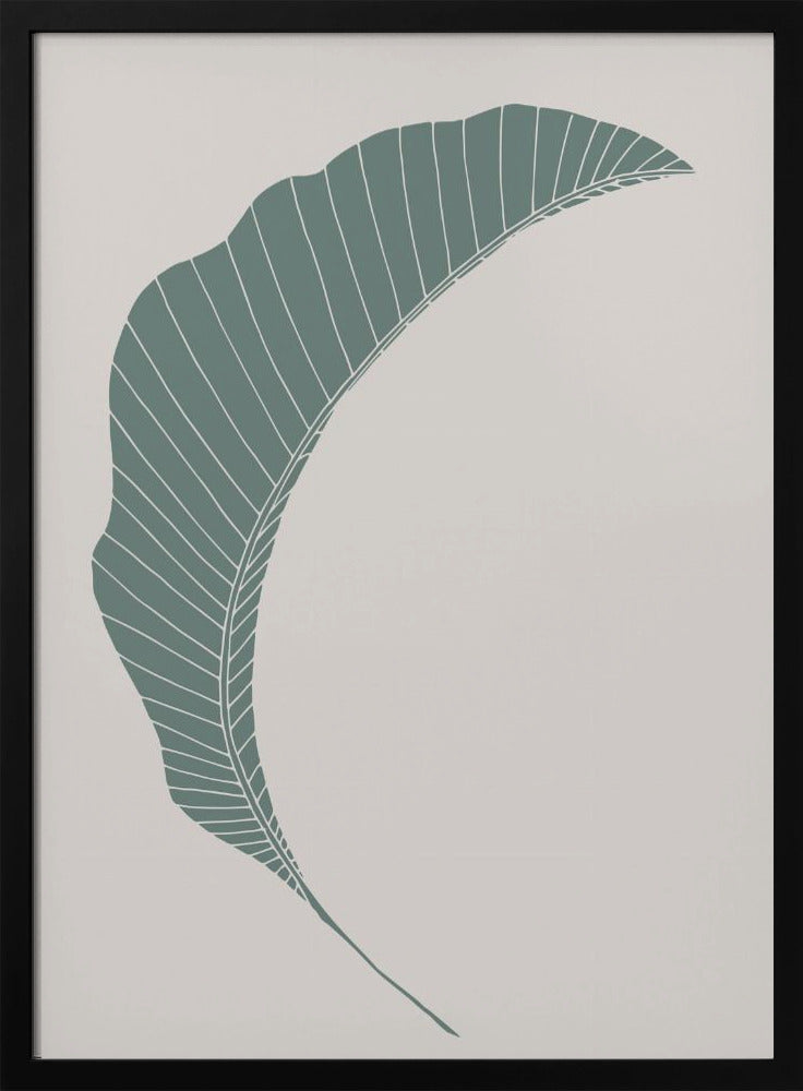 Bananenblatt Grün | Poster