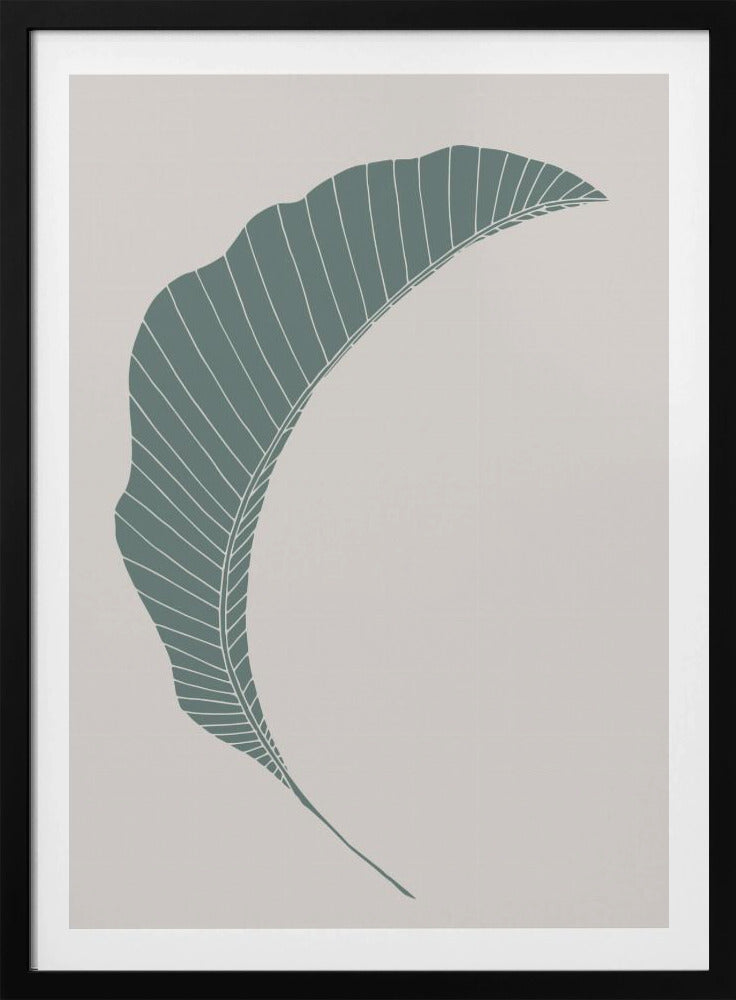 Bananenblatt Grün | Poster