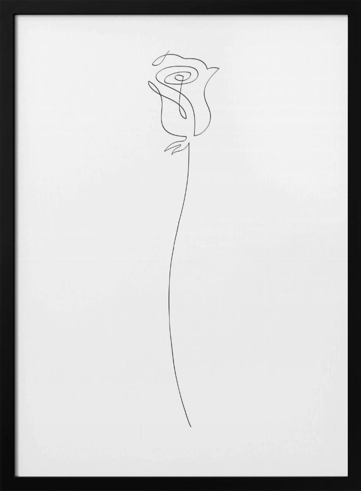 Rose | Poster
