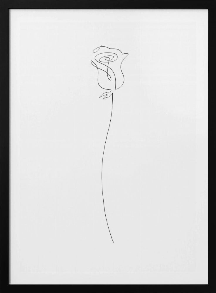 Rose | Poster