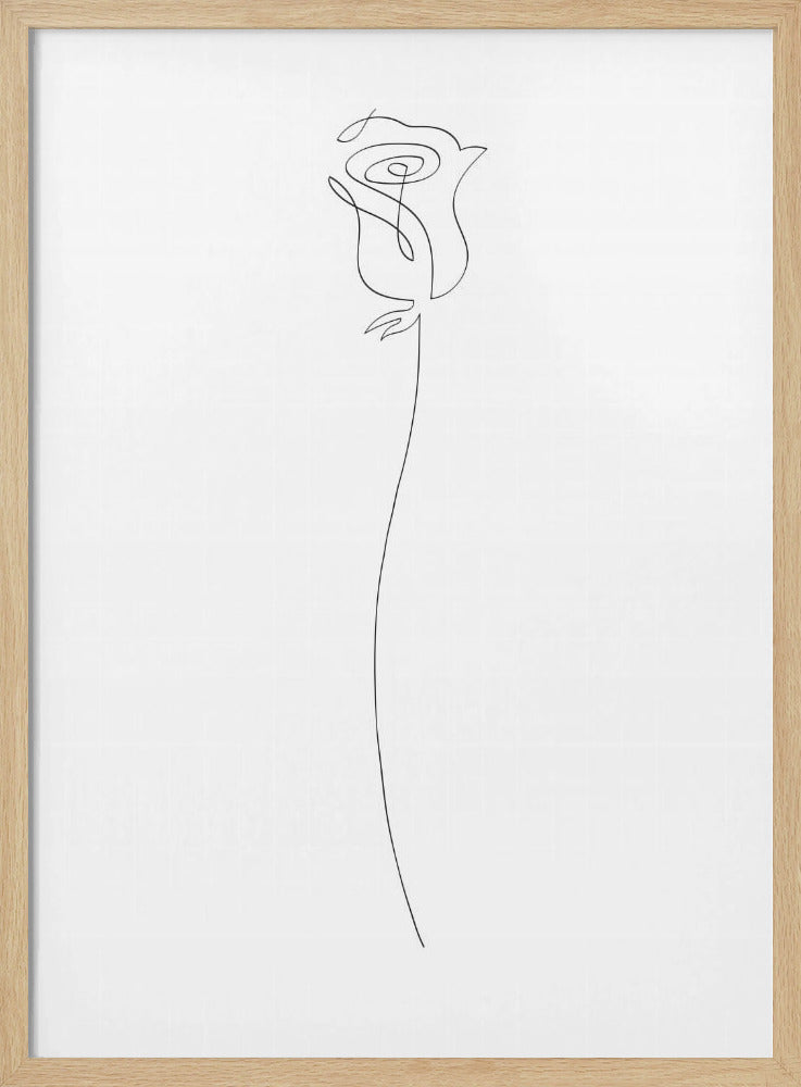 Rose | Poster