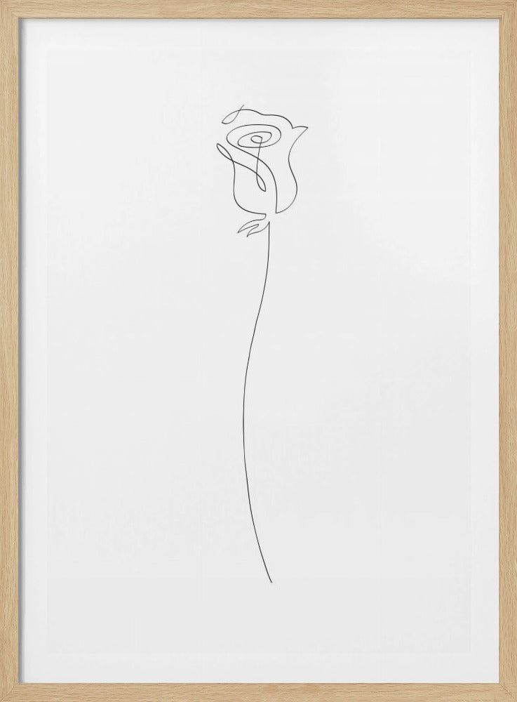 Rose | Poster