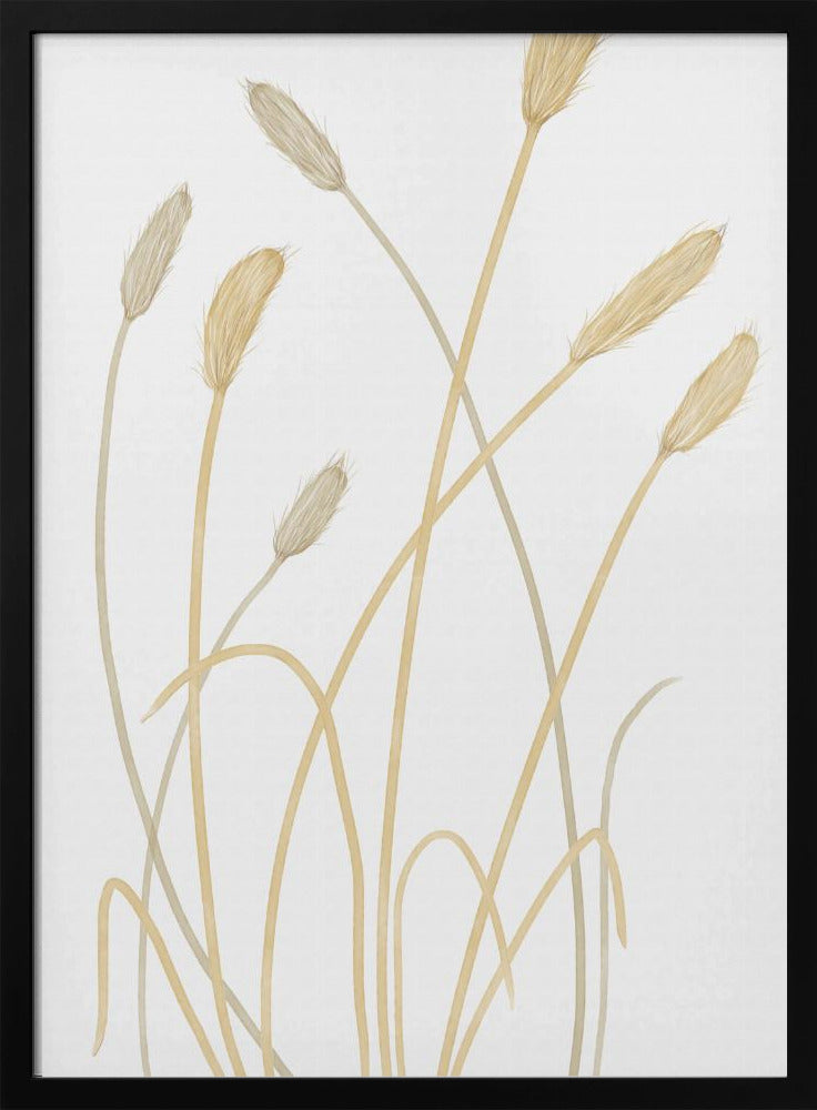 Hasengras 01 | Poster