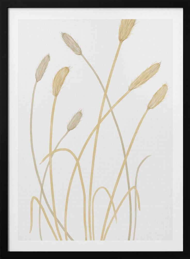 Hasengras 01 | Poster