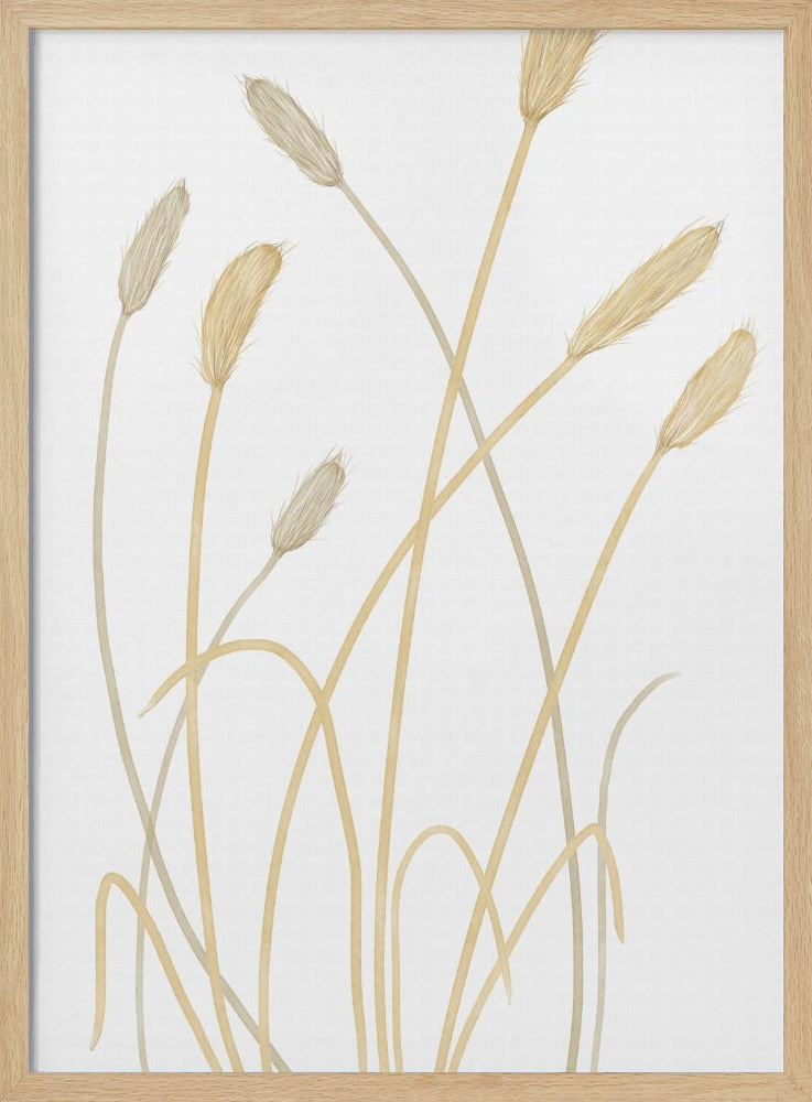 Hasengras 01 | Poster