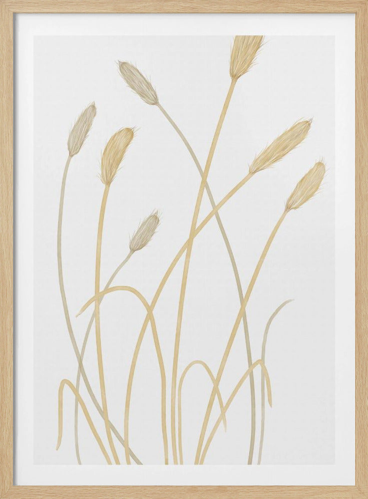 Hasengras 01 | Poster