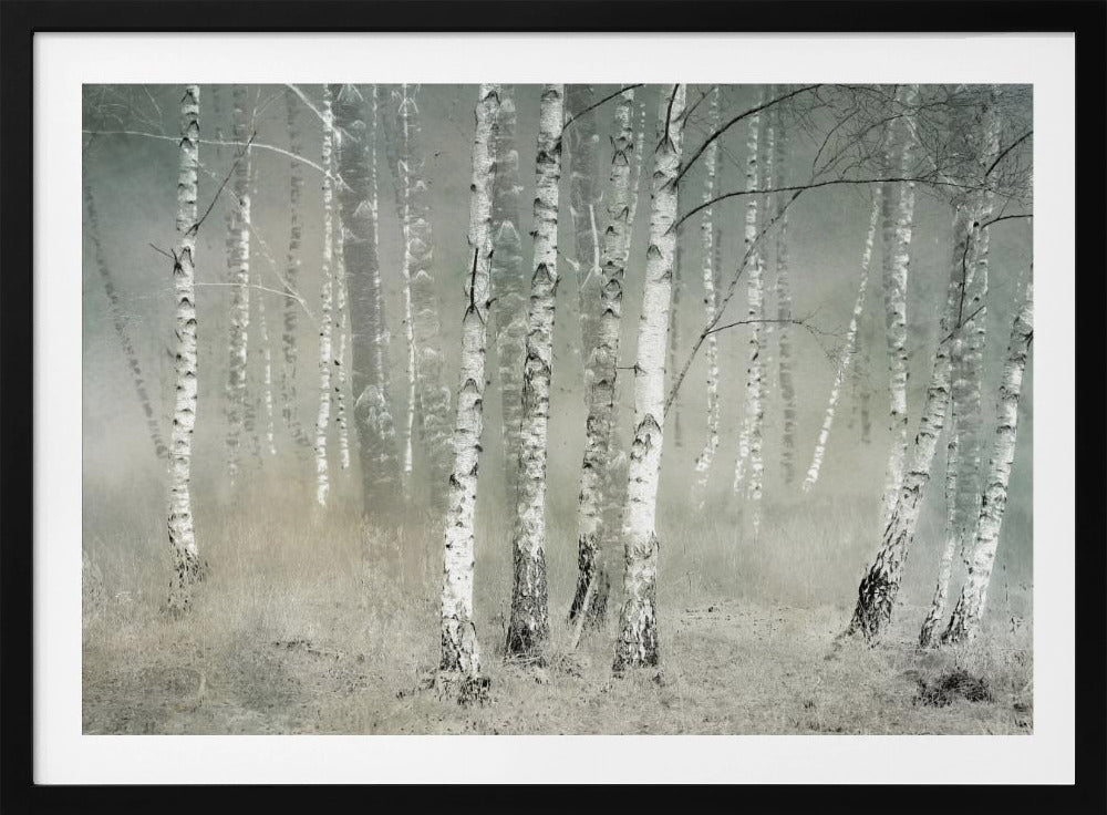 Morgenstille | Poster