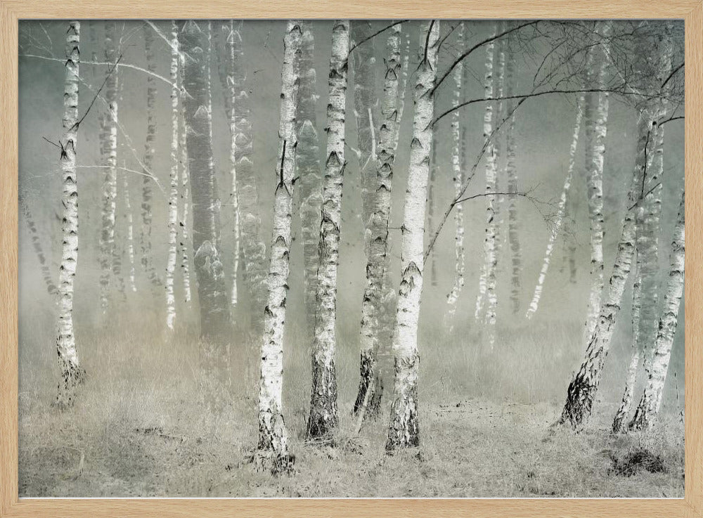 Morgenstille | Poster