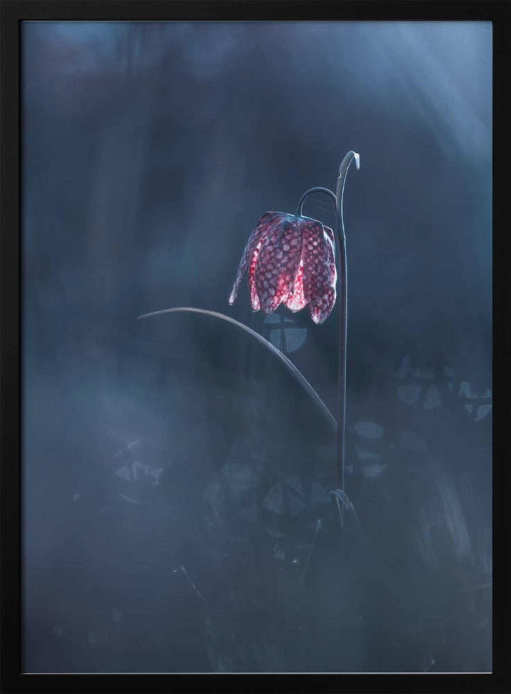 Vergängliche Fantasie | Poster