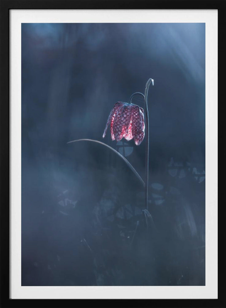 Vergängliche Fantasie | Poster