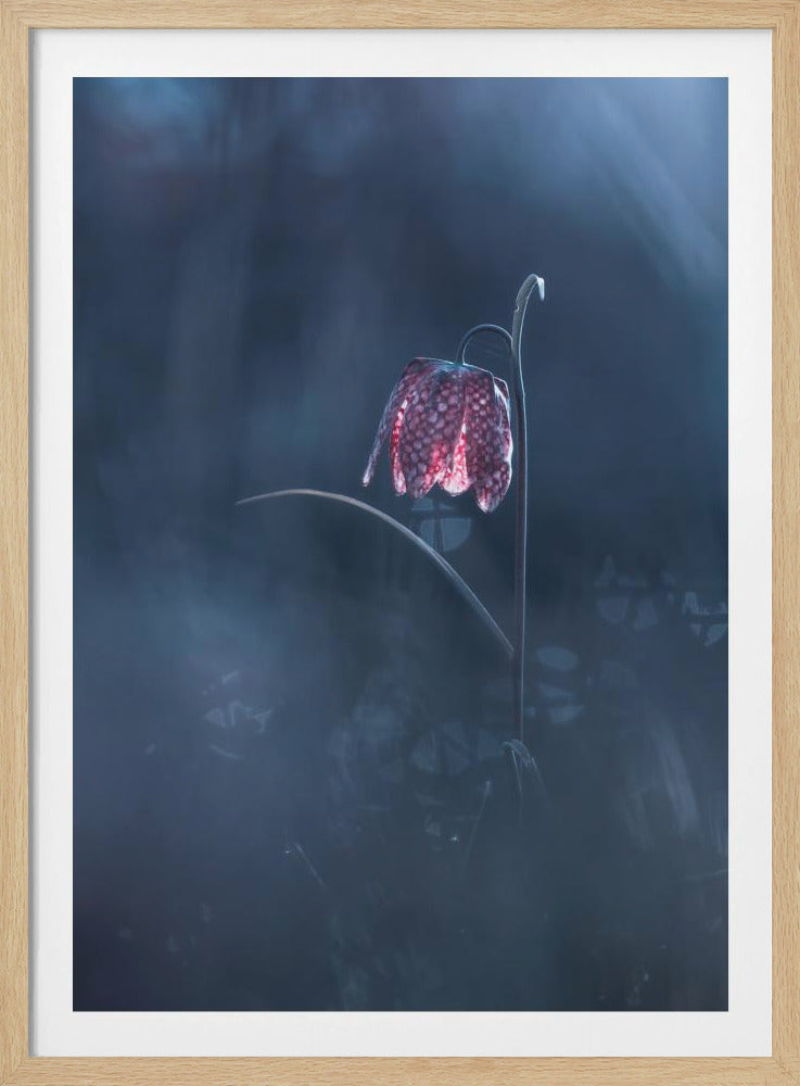 Vergängliche Fantasie | Poster